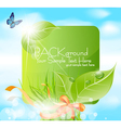 spring leaves banner vector image vector image