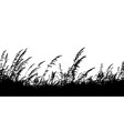 field grass silhouette 3 vector image vector image