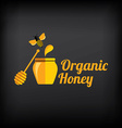 organic honey vector image