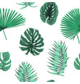 exot tropical green leaves seamless pattern float vector image