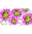 spring daisy flowers background watercolor vector image vector image