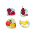 fruit cartoon set vegan organic eco products vector image