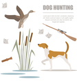 dog hunting flat style vector image