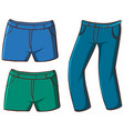 isolated set pants vector image