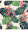 dark and bright tropical leaves with jungle plants vector image