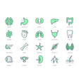 organs line icons include vector image