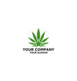 cannabis leaf star logo design vector image