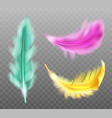 color fluffy feather realistic vector image