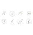 elegant botanique logo collection hand drawn vector image