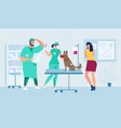 medical help for injured pet flat concept vector image