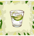 gin and tonic cocktail alcoholic vector image