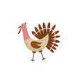flat funny turkey domestic bird icon vector image