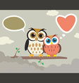 couple owl vector image