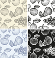 fruits patterns bw vector image vector image
