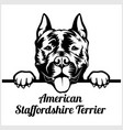 american staffordshire terrier - peeking dogs vector image