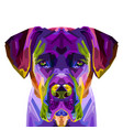 colorful cane corso dog on pop art style vector image vector image