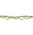 liana stem border rainforest green vine vector image vector image
