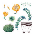 potted cacti and succulents plants badge vector image vector image