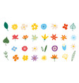 summer flowers spring plants in flat style vector image