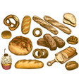 color hand drawn bread french loaf fresh bakery vector image