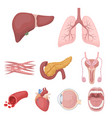 organs set icons in cartoon style big collection vector image