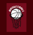 basketball sport design vector image vector image
