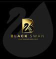 black swan logo design vector image