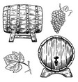 set of wooden wine barrels grape grape leaf vector image vector image