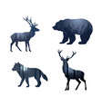 wild animals silhouette with double exposure vector image vector image