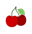 cherry doodle color isolated on white background vector image