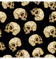 seamless background with skulls vector image
