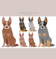 australian cattle dog all colours clipart vector image vector image