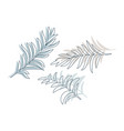 set palm tree and tropical leaf isolated vector image