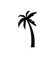 black single palm tree silhouette icon vector image