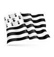 flag brittany france waving on wind vector image vector image