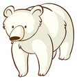 polar bear on white background vector image