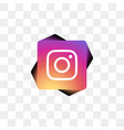 instagram social media icon design template vector image vector image