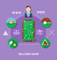 billiard game composition vector image