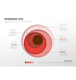 infographic template with percentages vector image vector image