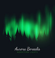 night sky aurora borealis northern lights effect vector image
