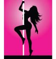 pole dancer vector image vector image