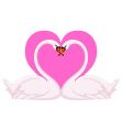 swans valentine vector image
