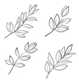 leaves contours vector image