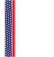 american flag design element frame vector image vector image