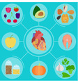 infographics of food for helpful healthy heart vector image