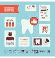 stomatology infographic template vector image