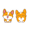 cute happy corgi dog front and back vector image