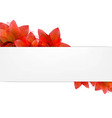 borders of tulips with banner vector image vector image