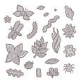 sketch graphic collection of stylized vector image