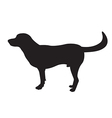 image of an dog labrador vector image
